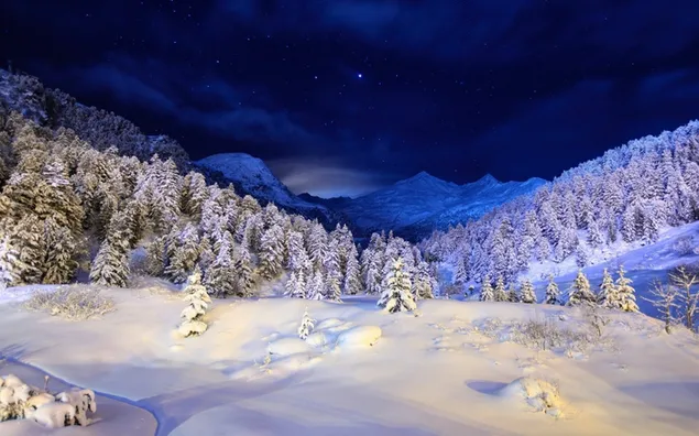Paisaje de invierno de noche de bosque nevado descargar