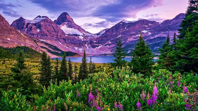 Snowy mountains under black clouds and a small lake on the shore of flowers, trees