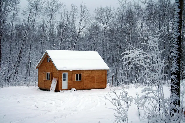 Vista de la naturaleza nevada de la casa de madera en el bosque 2K fondo de pantalla