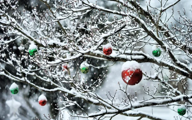 Snowy tree branch with red and green baubles 2K wallpaper