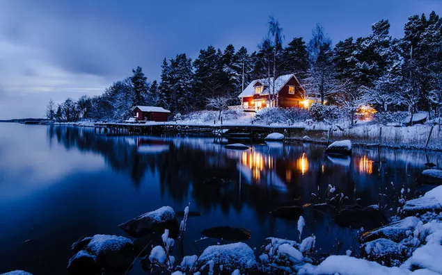 夜の暗闇の中で湖に映る雪に覆われた木々と孤独な家 ダウンロード