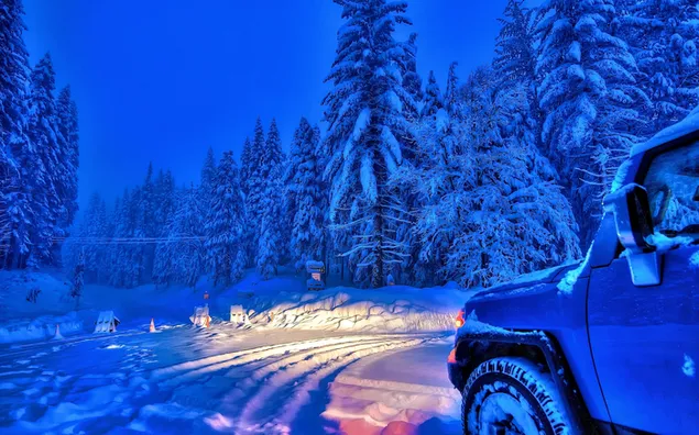 Besneeuwde bomen en de auto 2K achtergrond