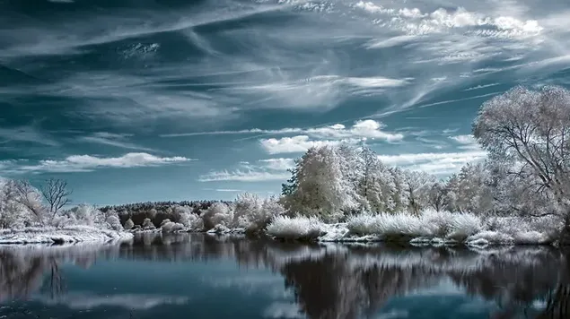 Snowy trees around the lake in the splendid beauty of winter