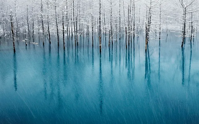 Árboles nevados reflejados en el lago azul