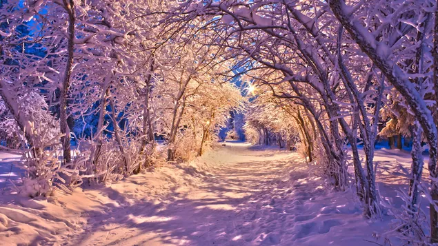 Camino de invierno cubierto de nieve descargar