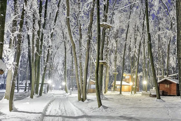 雪に覆われた冬の村