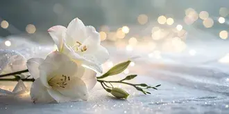 Zachte, witte gradiënt met delicate lichtreflecties 4K achtergrond