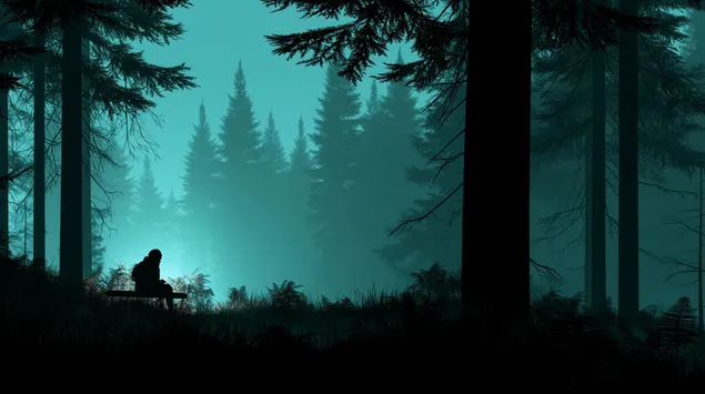 Solitary Figure dalam Keadaan Hutan Pine Berkabus 2K kertas dinding