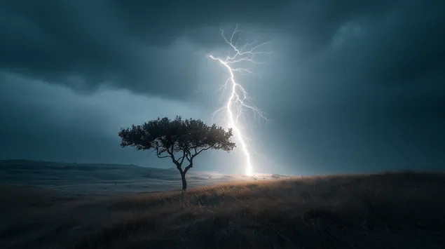 usamljeno drvo u polju udareno gromom preuzmi