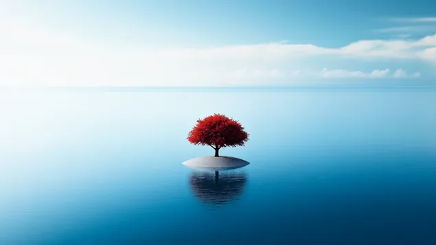 shjr@ wHyd@ fy lbHr llmtnhy ltnzyl