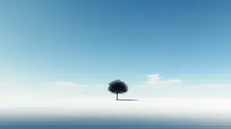 겨울의 포옹 속의 외로운 나무 2K 배경화면
