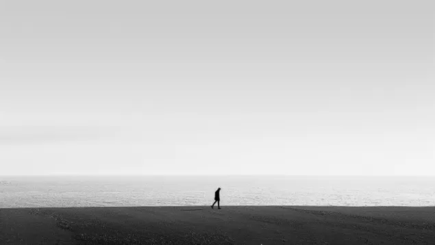 eenzaamheid aan zee: een minimalistische zwart-witopname download