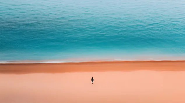 samotnist' bilya bezturbotnogo berega zavantazhiti