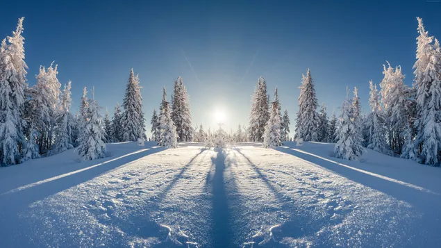 Sonnenaufgang im Winter herunterladen