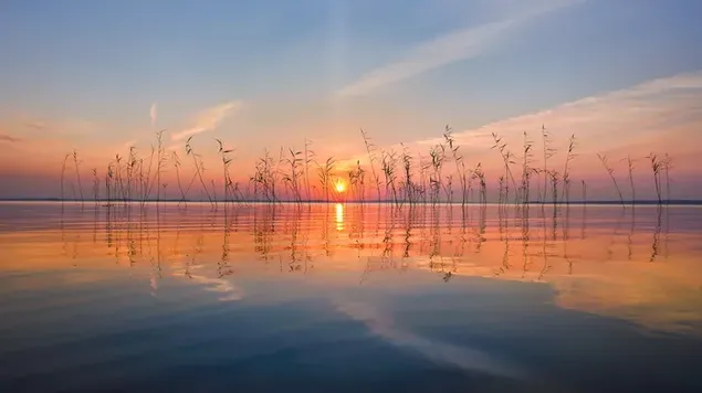 Sonnenuntergang reflektiert auf See Puruvesi, Finnland herunterladen