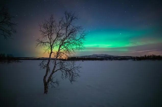 ispudingas siaures pasvaistes naktinis panoramos vaizdas atsisiusti