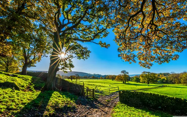 Spectaculair uitzicht op Engeland met zijn prachtige natuur download