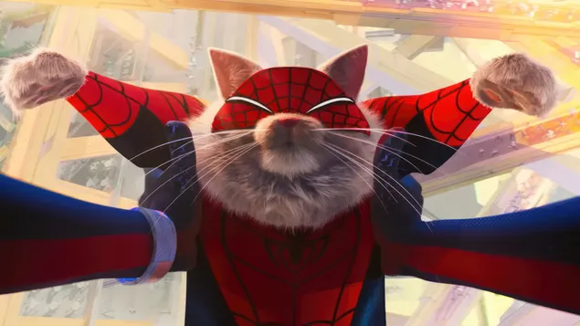 Spider-Man: Across the Spider-Verse 영화의 Spider-Cat 4K 배경화면
