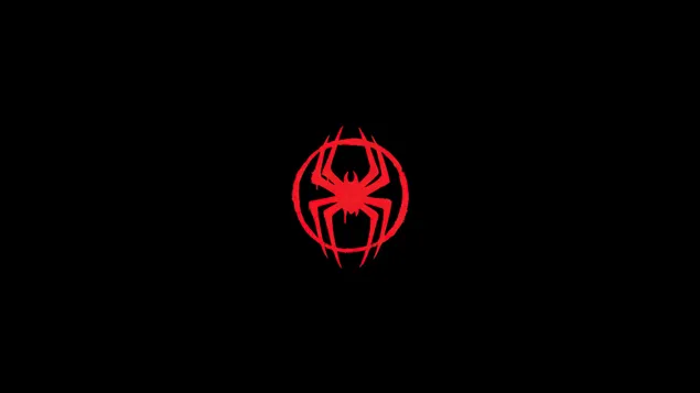 Spider-Man: A través del logotip de Spider-Verse 4K fons de pantalla