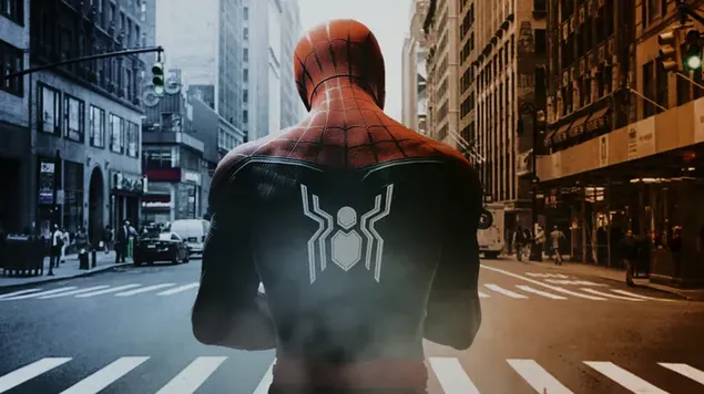 Tampilan Belakang Spider Man Dan Kotanya 4K wallpaper