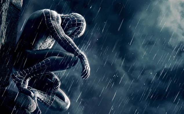 Spider-Man Hitam di tengah hujan unduhan