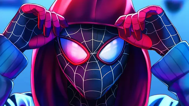 Spider-Man: Into the Spider-Vers (Miles Morales) herunterladen