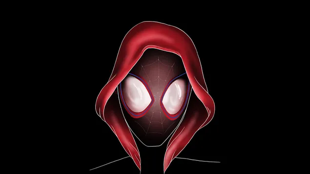 Spider-Man: Into the Spider-Verse movie - Miles Morales art 4K wallpaper