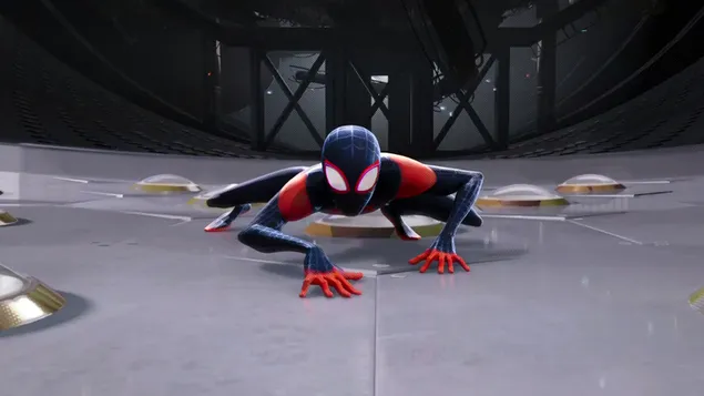 Spider-Man: Into the Spider-Verse movie - Miles Morales (marvel hero) 4K wallpaper