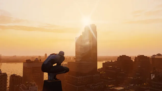 Spider-man's uitzicht vanaf de top