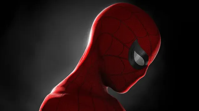 Tampilan Wajah Samping Spider Man 2K wallpaper
