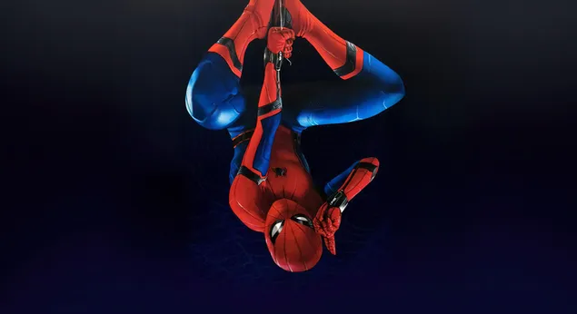 Taustakuva Hämähäkkimies ylösalaisin Marvel-supersankari 4K