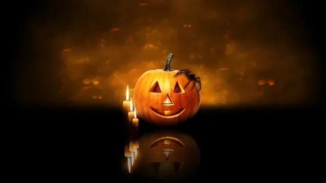 Labah-labah Pada Kepala Labu Jack-o'-lantern HD kertas dinding