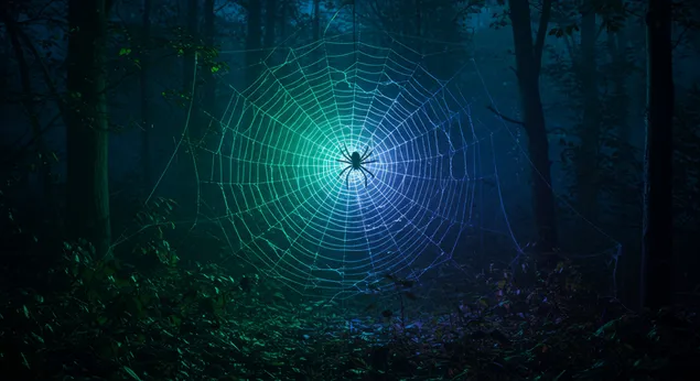 Edderkoppespindglød 4K baggrundsbillede