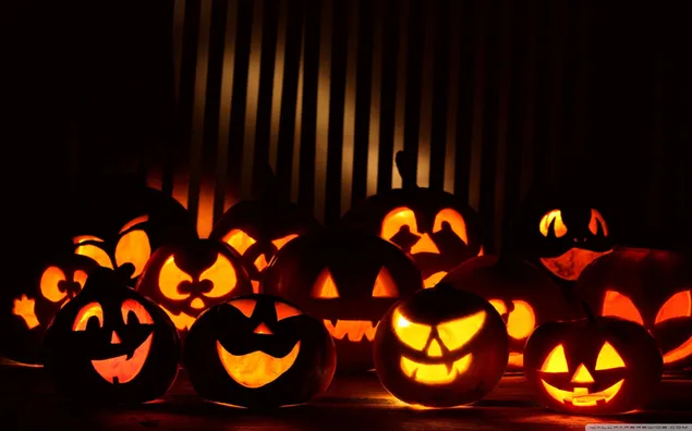 Spookachtige en vrolijke pompoenen voor de speciale dag van Halloween