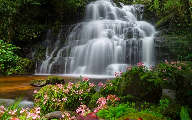 Пролетни цвеќиња и поглед на водопад 2K тапет