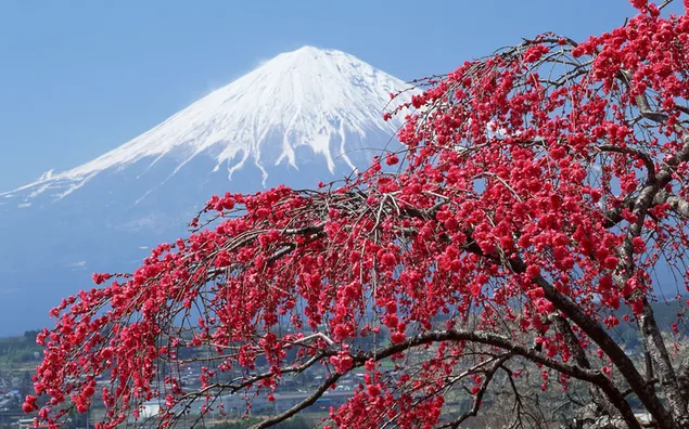  Spring Image From Fuji Mountain 2K wallpaper