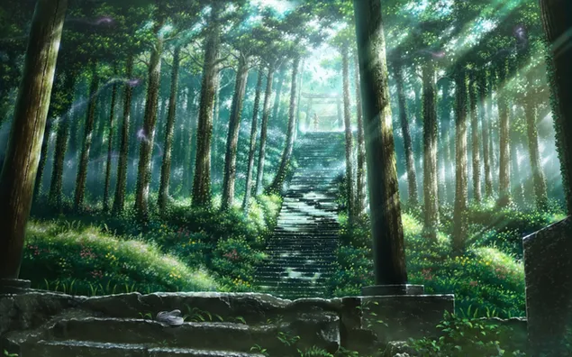 Floresta de anime, anime de floresta papel de parede HD