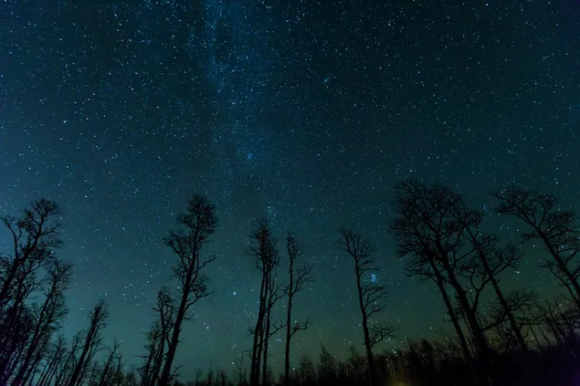 Sternenklarer Himmel 4K Hintergrundbild
