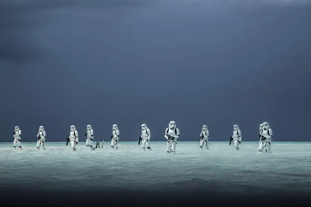 Storm Troopers - Rogue One: Een Star Wars-verhaal