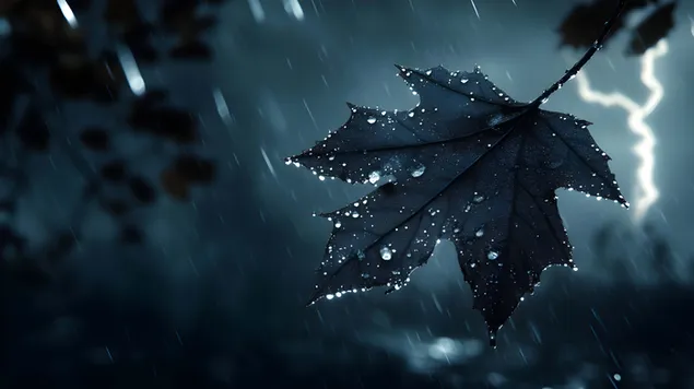 Tapeta Bouřlivá elegance: Filmové zachycení záře přírody 8K