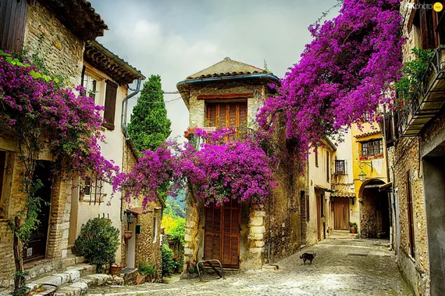 Straat in de Provence, Frankrijk download