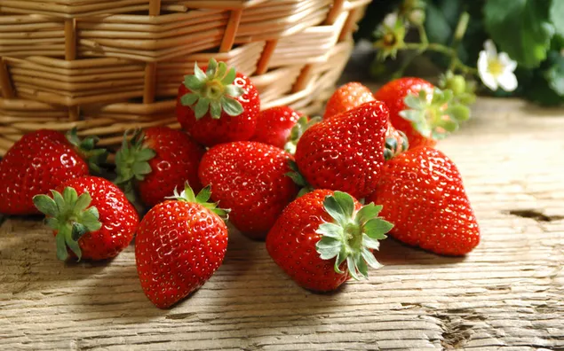 Strawberries fruit download