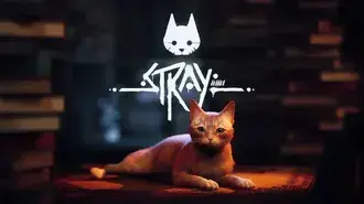 Stray game poster 4K wallpaper