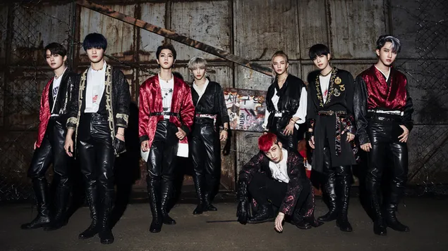 stray kids tutti i membri | sparatoria alla porta sul retro scarica