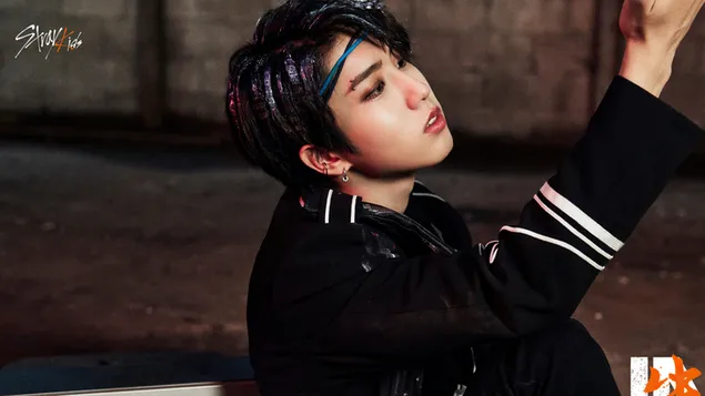 stray kids 'han' | back door mv shoot download