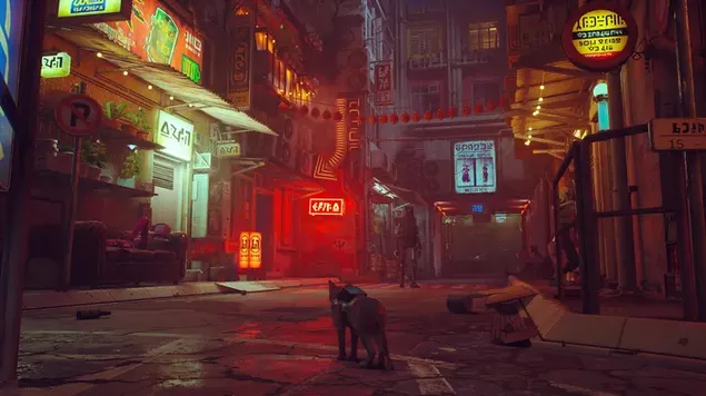 Hình ảnh trò chơi điện tử đi lạc về con mèo và người máy trên đường phố vào ban đêm