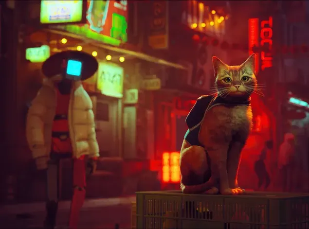 Robot trò chơi điện tử đi lạc và con mèo vàng giữa các tòa nhà trên đường phố đêm