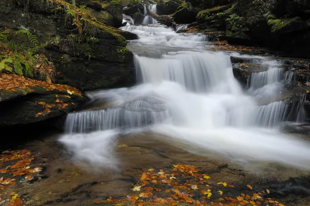 Stream mit natürlicher Schönheit, die zwischen moosigen Steinen und Herbstblättern fließt