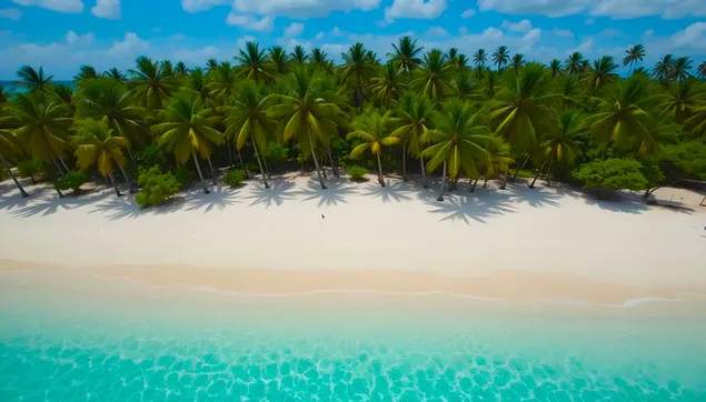 Páipéar balla Aerphictiúr Iontach: Trá Gainimh Bháin, Crainn Pailme, Muir Ghorm4K