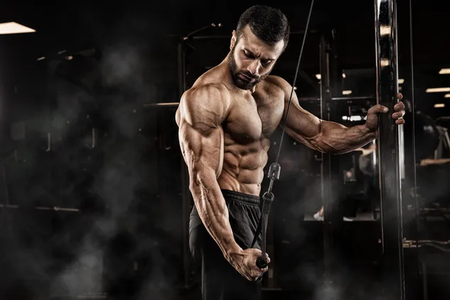 Suatu hari Anda dapat memiliki otot seperti itu dengan bekerja di gym unduhan